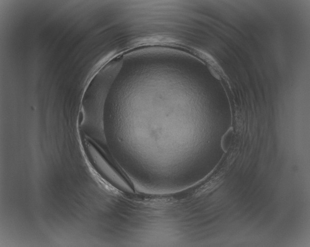 X0000067480946200604211629