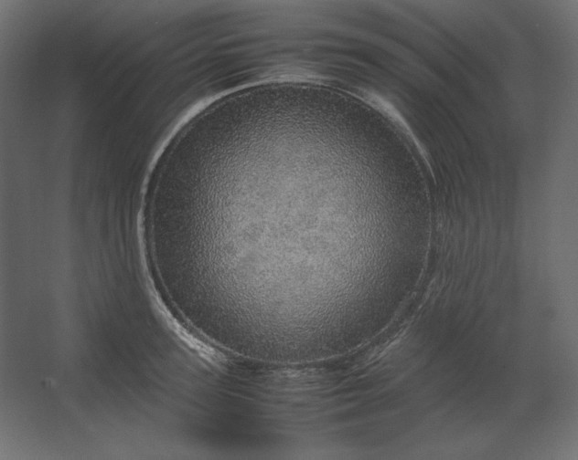 X0000067480947200604211629