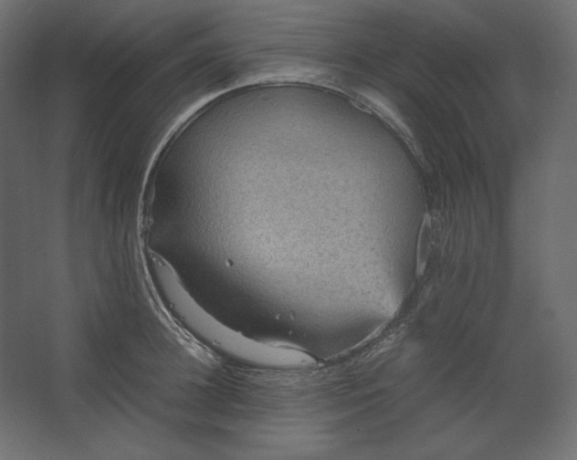 X0000067480948200604211629