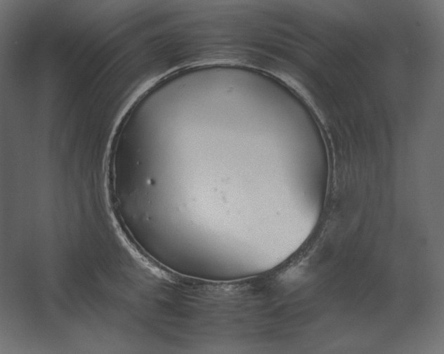 X0000067480949200604211629