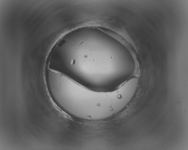 X0000067480950200604211629