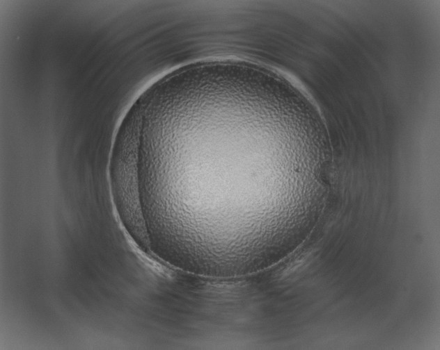 X0000067480951200604211629