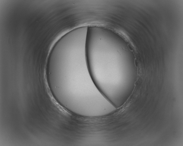 X0000067480952200604211629