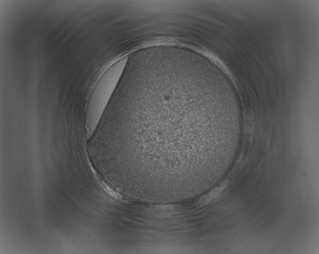 X0000067480953200604211629