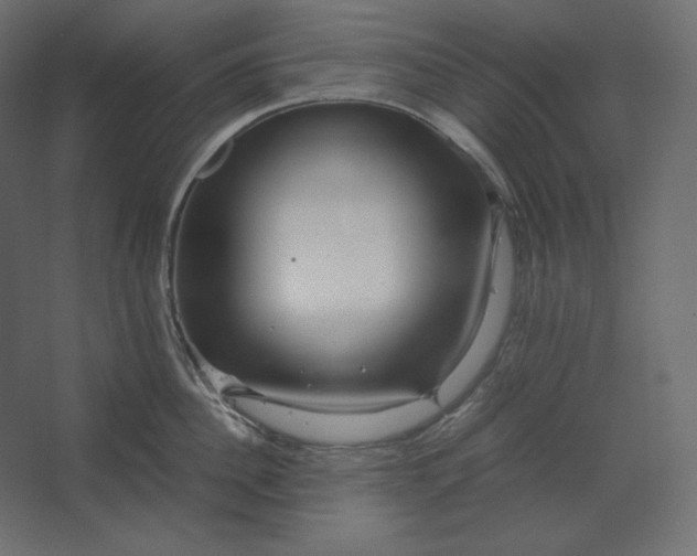 X0000067480956200604211629