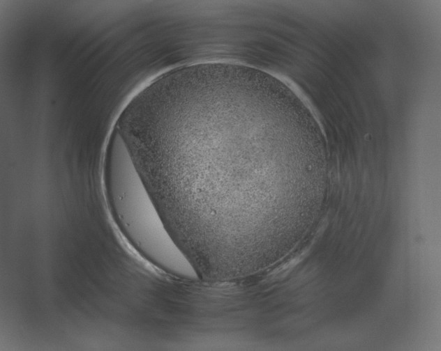 X0000067480957200604211629