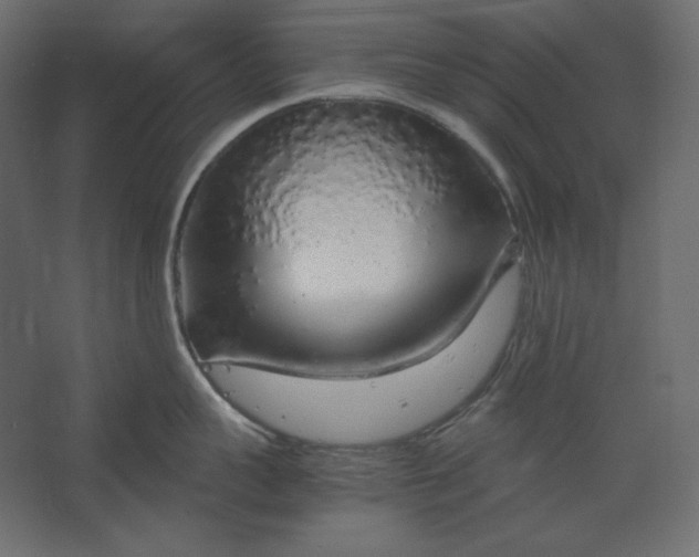 X0000067480959200604211630