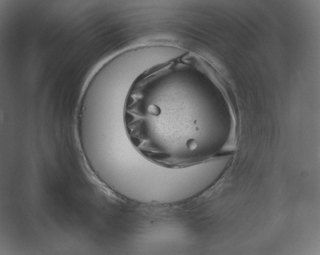 X0000067480960200604211630