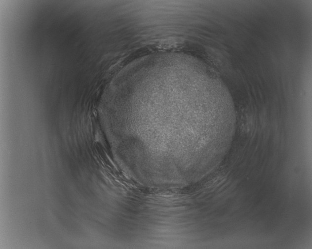 X0000067480962200604211629