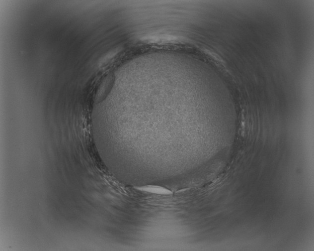 X0000067480966200604211629