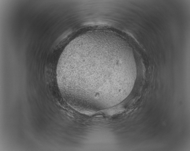 X0000067480967200604211629