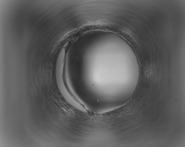 X0000067480968200604211629