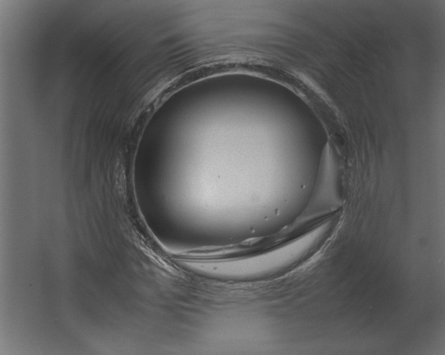 X0000067480969200604211629