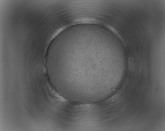 X0000067480970200604211629