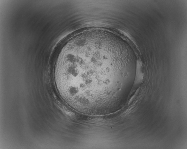 X0000067480971200604211629