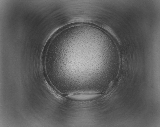 X0000067480972200604211629