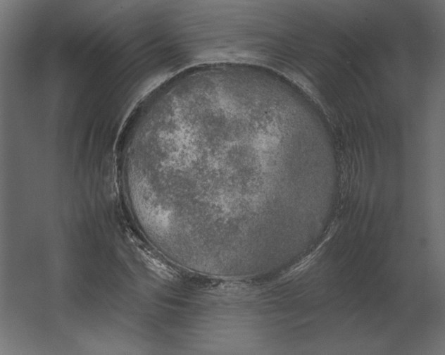 X0000067480974200604211629