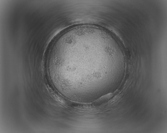 X0000067480975200604211628