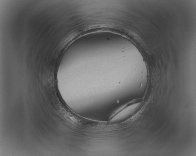 X0000067480977200604211628