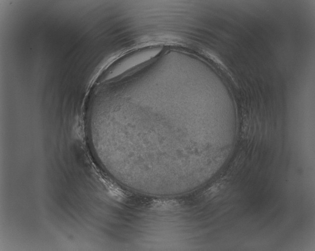 X0000067480978200604211628