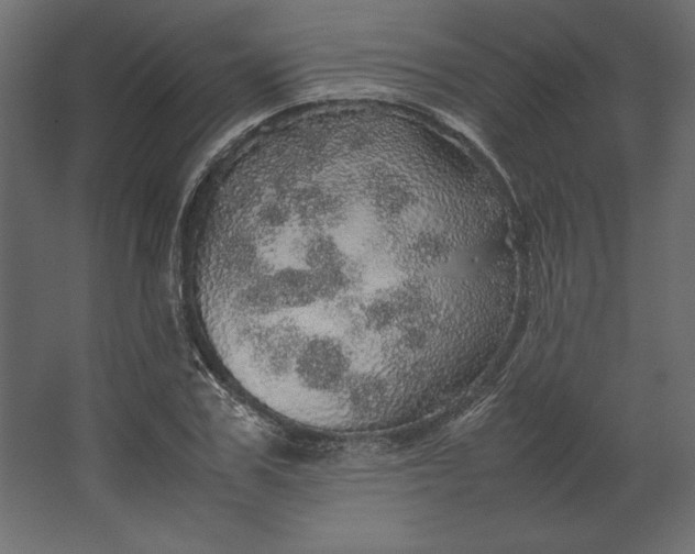 X0000067480979200604211628