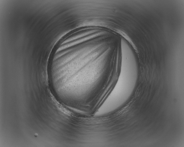 X0000067480980200604211628