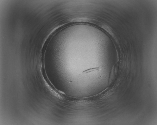 X0000067480984200604211628