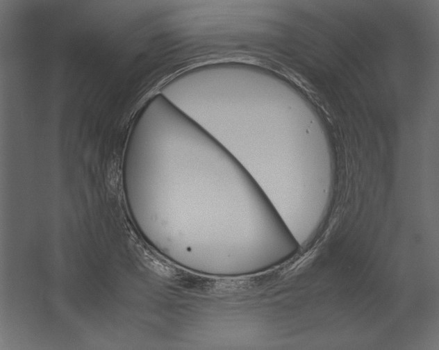 X0000067480985200604211628