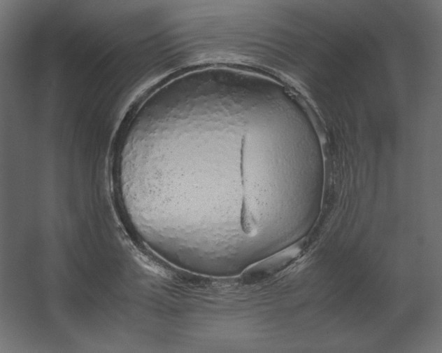 X0000067480987200604211628