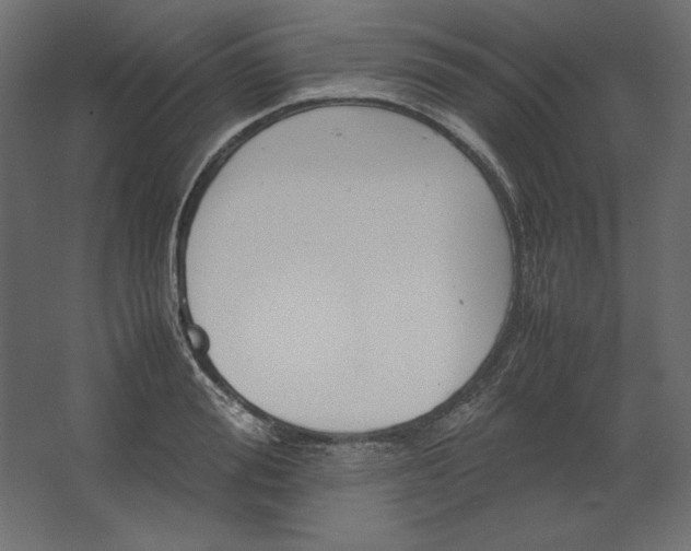 X0000067480988200604211628