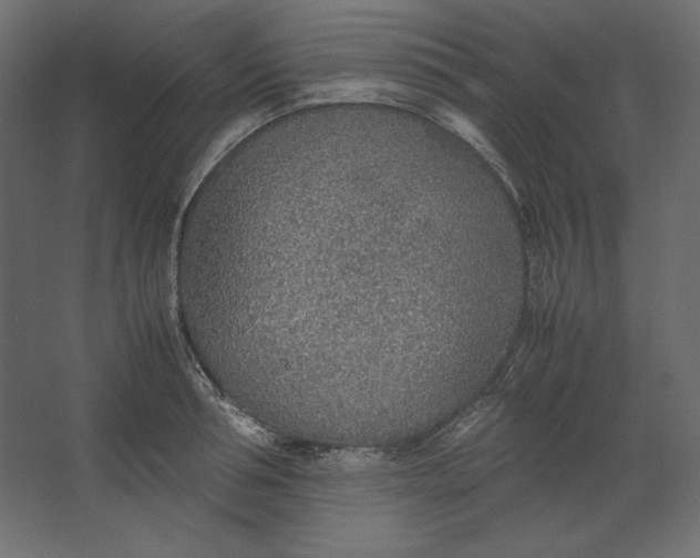 X0000067480994200604211628