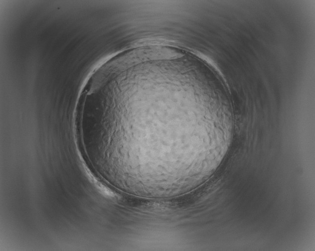 X0000067480995200604211628