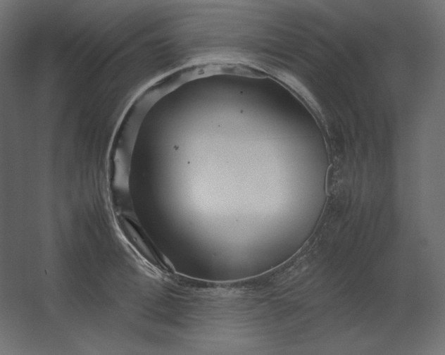 X0000067480996200604211628