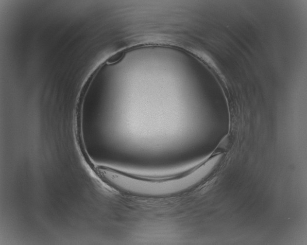 X0000067480999200604211628