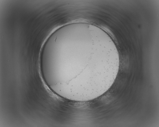 X0000067481000200604211628