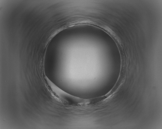 X0000067481001200604211628