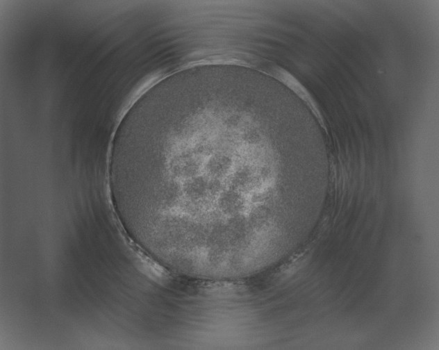 X0000067481002200604211628