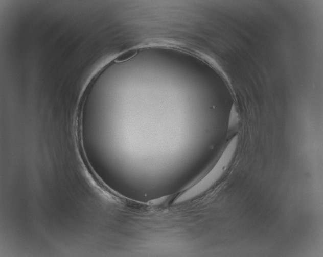 X0000067481003200604211628