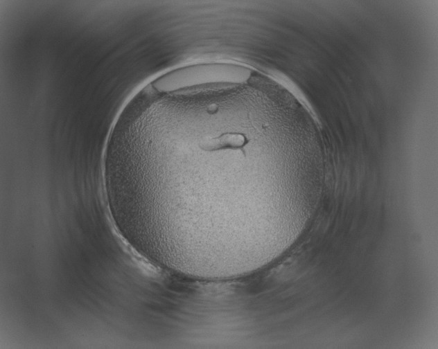 X0000067481004200604211628