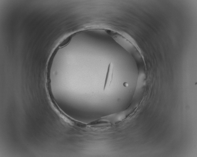 X0000067481005200604211628