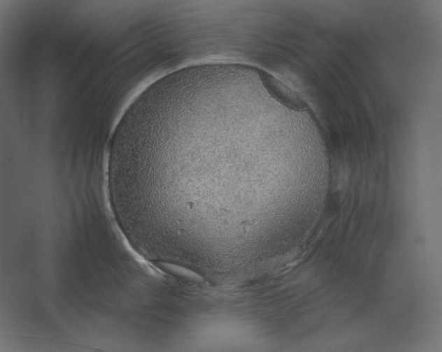 X0000067481006200604211628