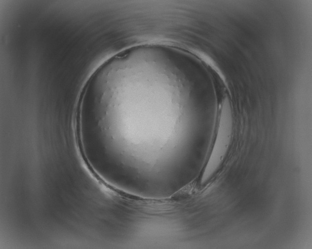 X0000067481007200604211628