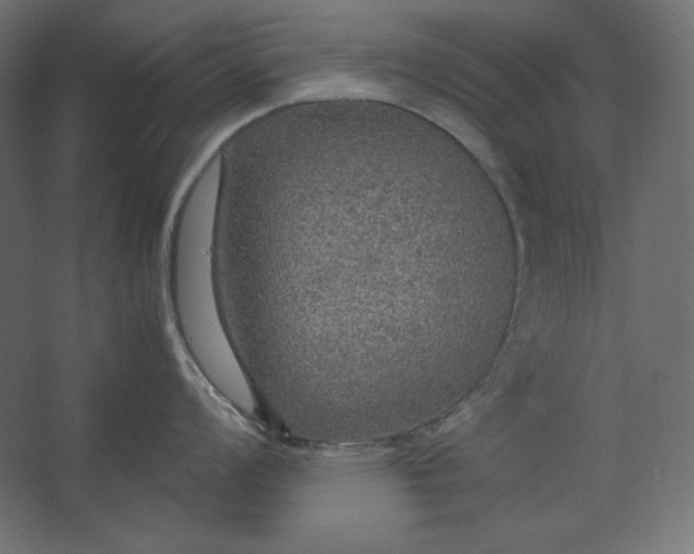 X0000067481008200604211628