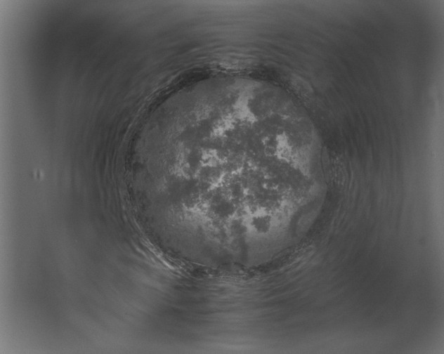 X0000067481009200604211627