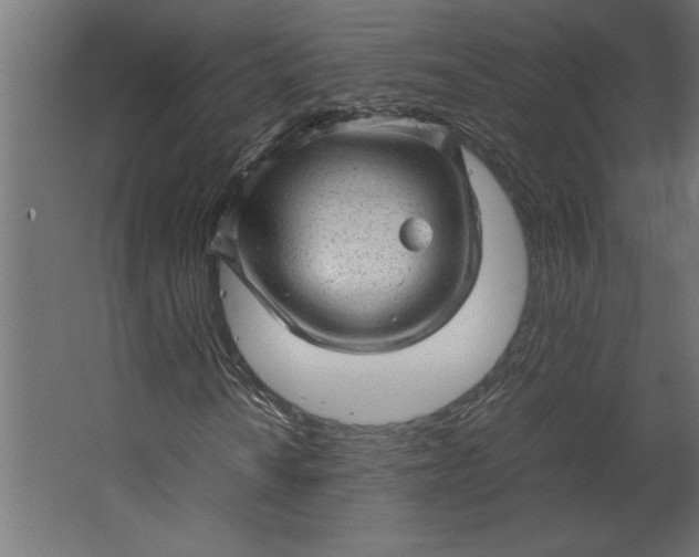 X0000067481010200604211627