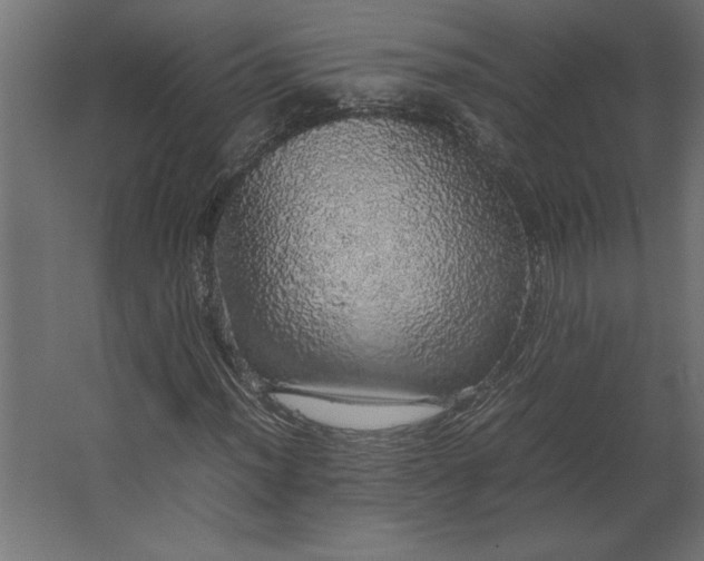 X0000067481012200604211627