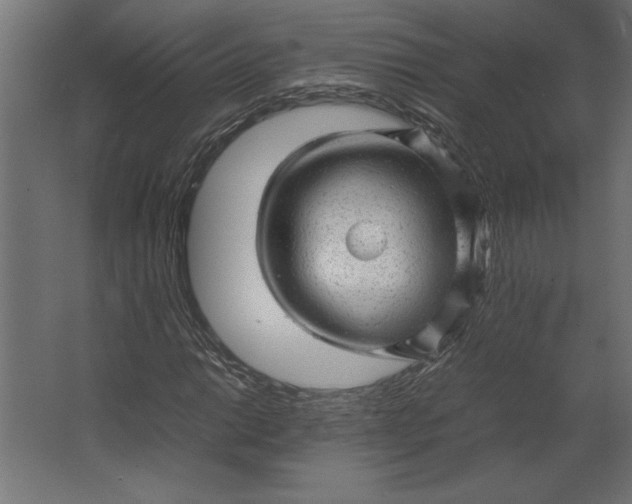 X0000067481014200604211627