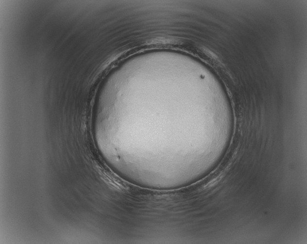 X0000067481017200604211627