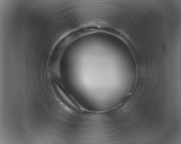 X0000067481018200604211627