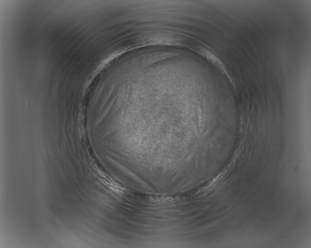 X0000067481019200604211627